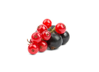bunches of black and red currants on a white background