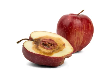 Rucksack rotten sliced red apple on a white background © arhat