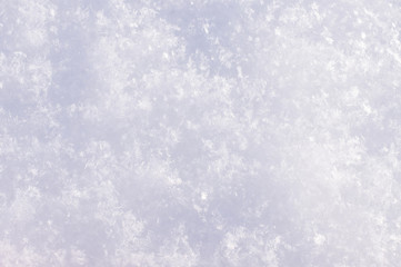 Real snow for the background