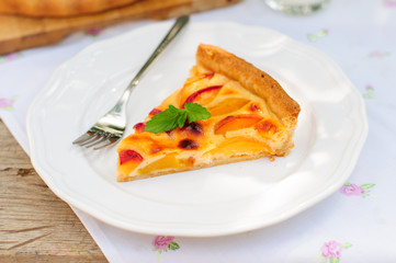 A Slice of Peach Custard Pie