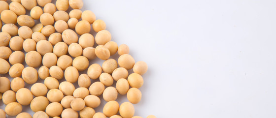 Soybean on white background