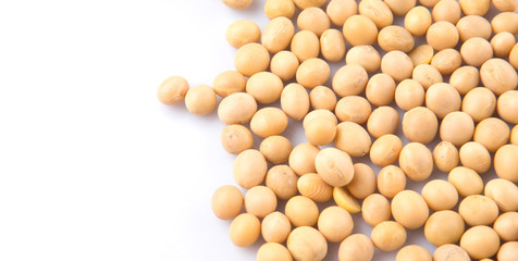Soybean on white background