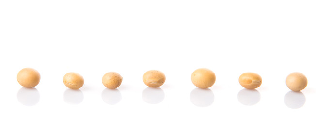 Soybean on white background