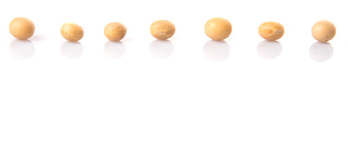 Soybean on white background