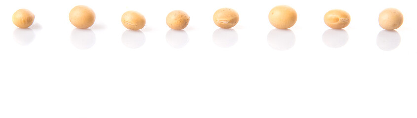 Soybean on white background