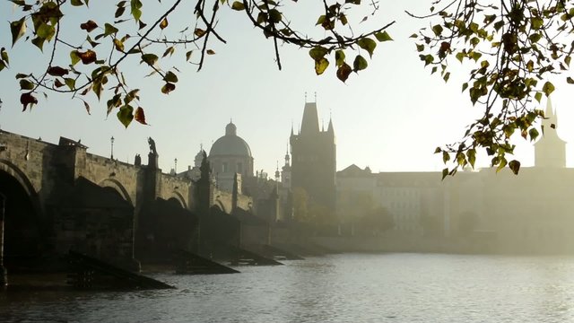 Charles bridge with tree - sunrise - Prague, Czech Republic