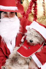 Santa claus