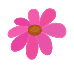 Festival Pink Flower