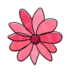 Pink Daisy Clipart