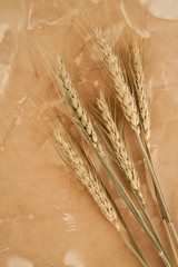 paper with wheat and rye ears