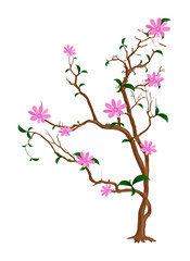 Fototapeta premium Beautiful Flowers Branches