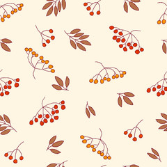 Vector rowan berries, pattern