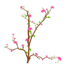 Decorative Pink Flowers Branches