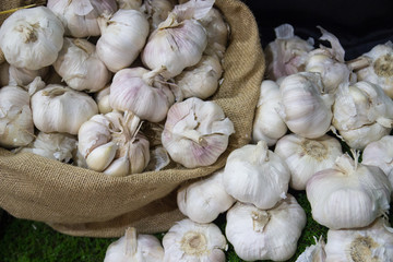 garlic in a sack bag