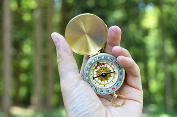 Compass in the hand against against wood