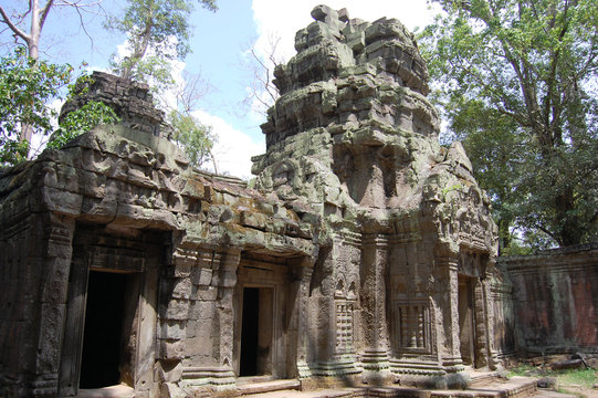 Ta Prohm Temple at Angkor in Siem Reap  Cambodia