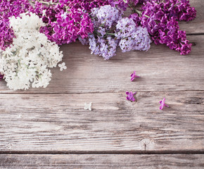 Naklejka na ściany i meble The beautiful lilac on a wooden background