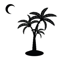 palm4