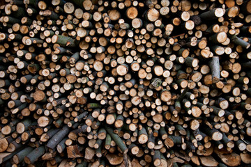 Holz *** Brennholz-4