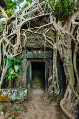 Ancient stone door and tree roots, Ta Prohm temple, Angkor
