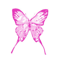 butterflies design