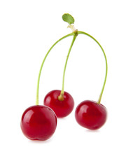 juicy cherry