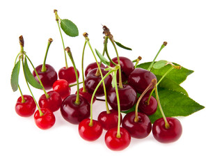 juicy cherries