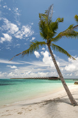 Obraz na płótnie Canvas Maldives beach
