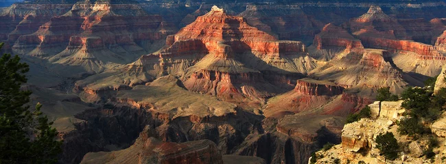Foto op Plexiglas Grand Canyon-detail © Pictarena