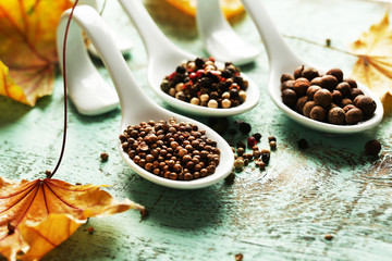 Different spices in spoons with yellow leaves