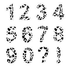 Vector alphabet numbers,trendy leopard pattern