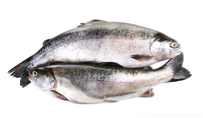 Fresh fish isolated on white