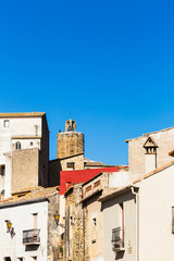 Fototapeta premium Pals