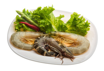 King and waterleg shrimps