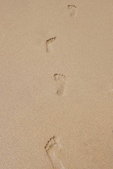 Fototapeta na wymiar Fußstapfen im Sand