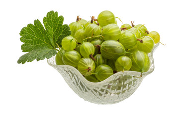 Gooseberry