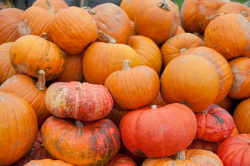 redOrangePumpkins