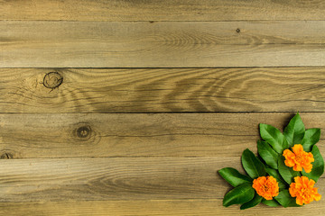 Wood background with Flowers