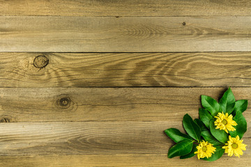 Wood background with Flowers