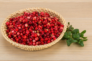 Cowberry
