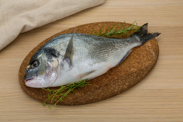 Raw dorado
