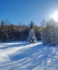 paysage savoyard en hiver