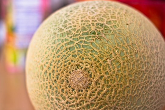 Melone