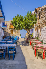 Fototapeta premium Alonissos Greek Island Street
