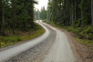 Naklejka premium Winding gravel road