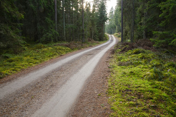 Fototapeta na wymiar Green environment with a winding gravel road
