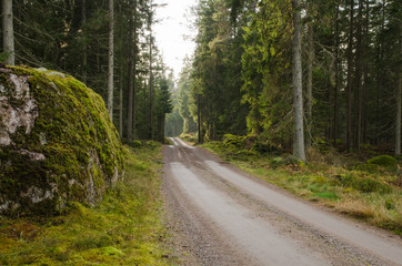 Big mossy rock at a dirt road side