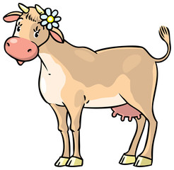 Funny cow