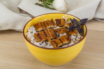 Eel with rice