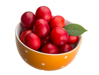 Damson plum